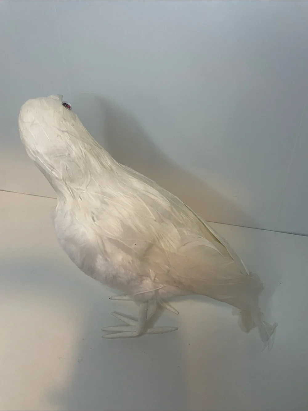 Halloween Decor - White Raven, White Crow Decorative Bird Accent